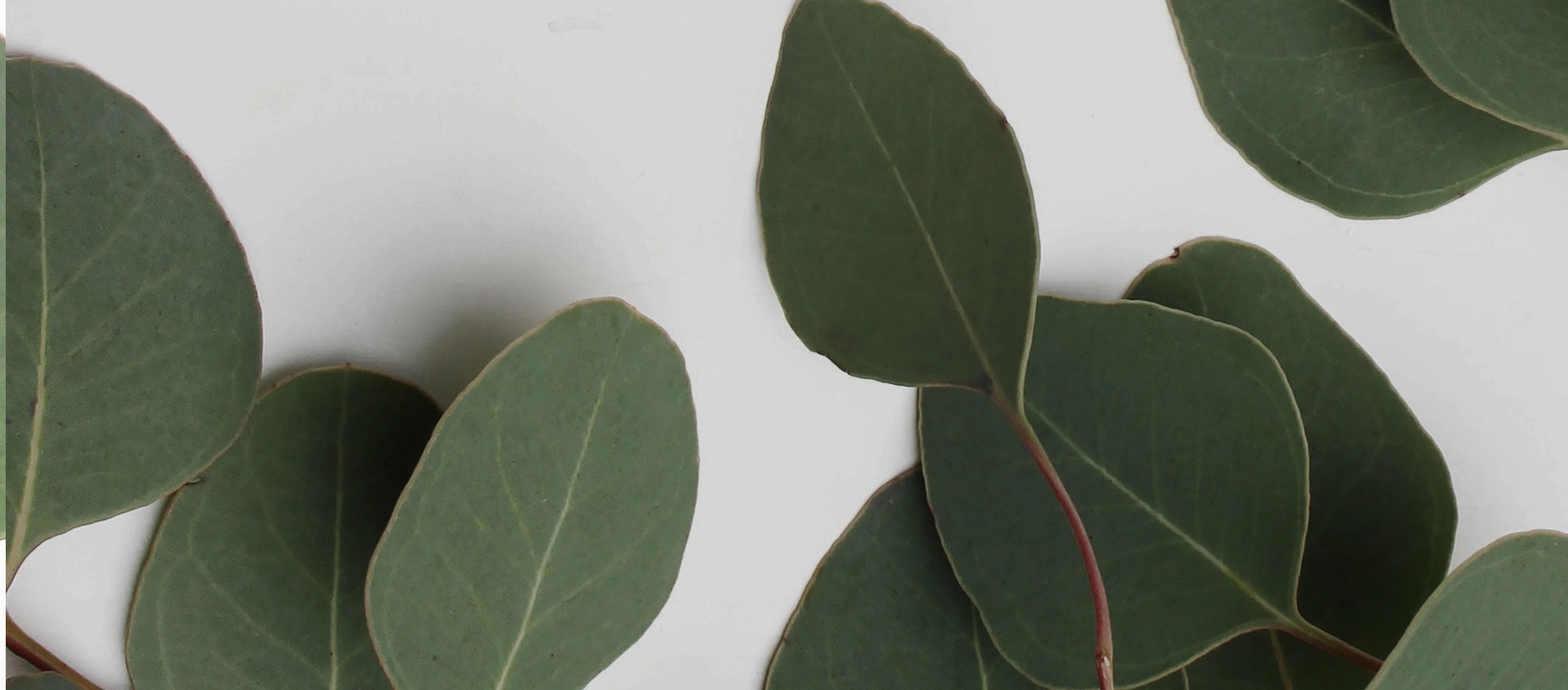 Взыскание ущерба от экологических правонарушений в Белебее